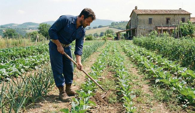 Hack-und Jätarbeiten