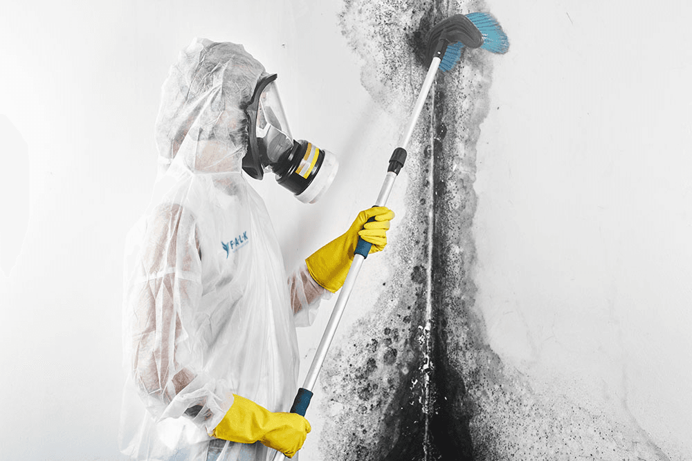 Wasserschadensanierung von FALK Facility Services