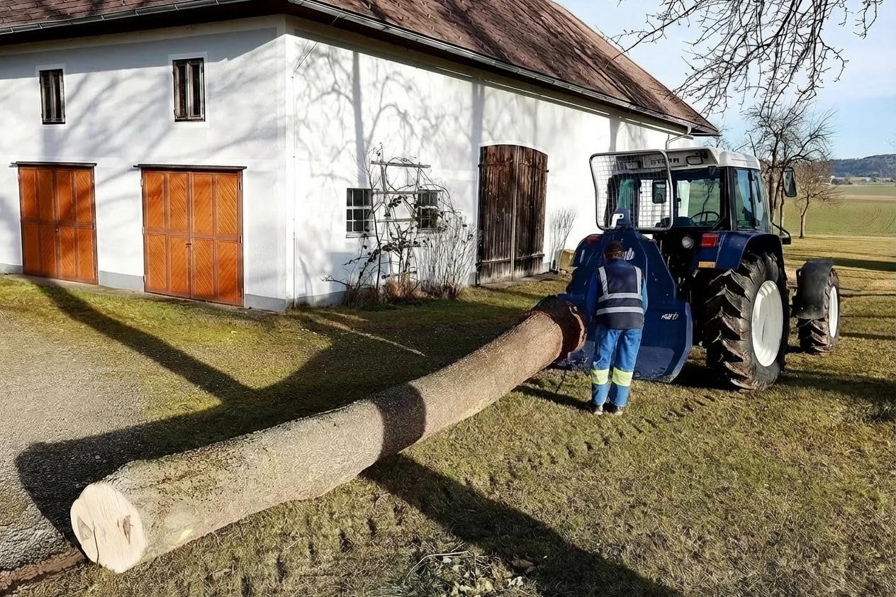 Baumpflege und Baumfällungen