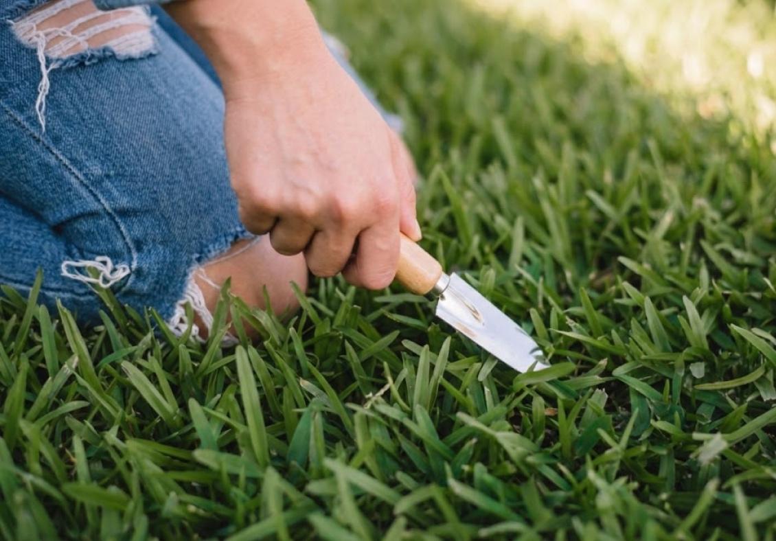 Verlegung von Fertigrasen